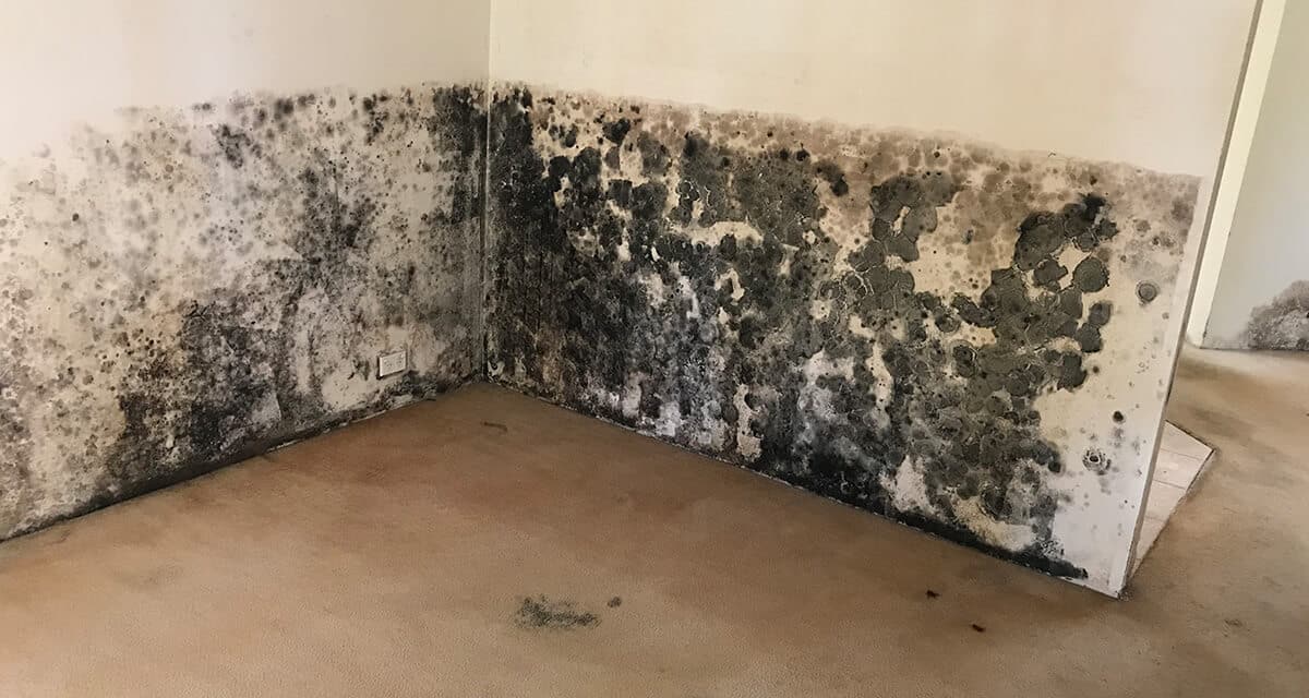 Mould repair before